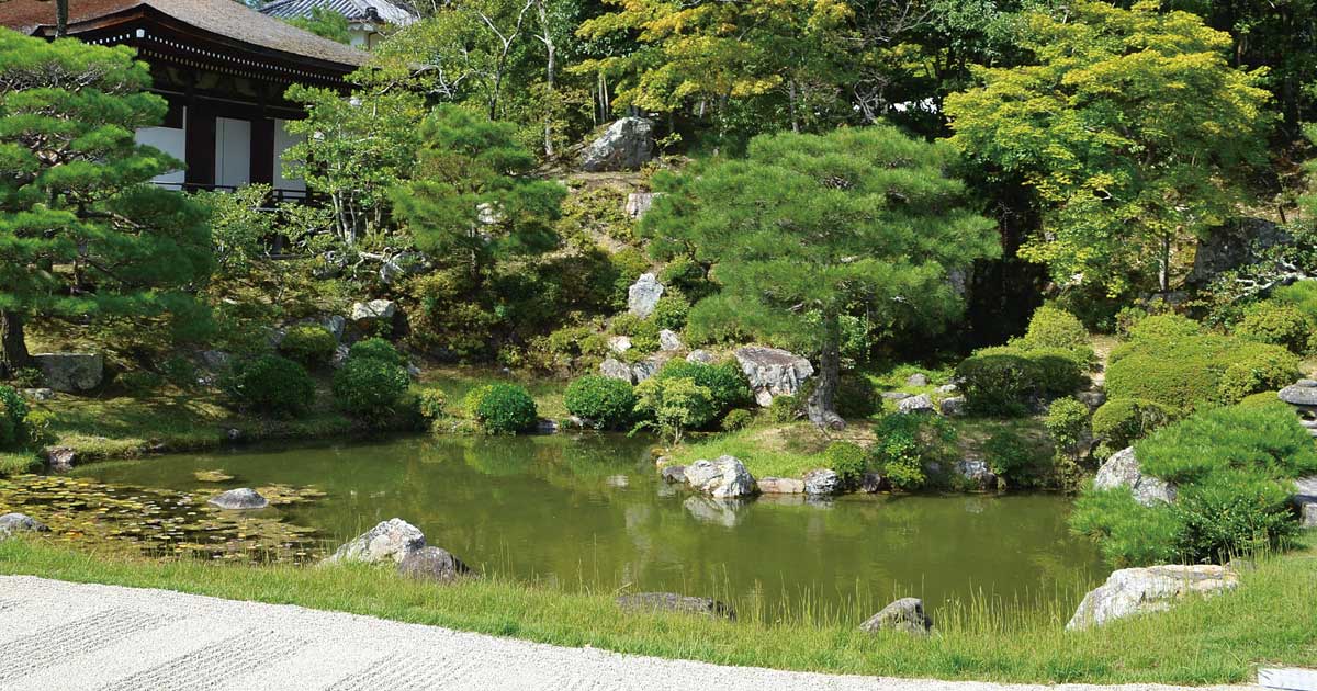 Ninna-ji Temple | Zen Nippon Airinkai